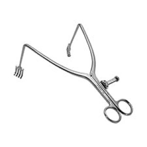 Zelpi with Cerebellar Tips 90˚