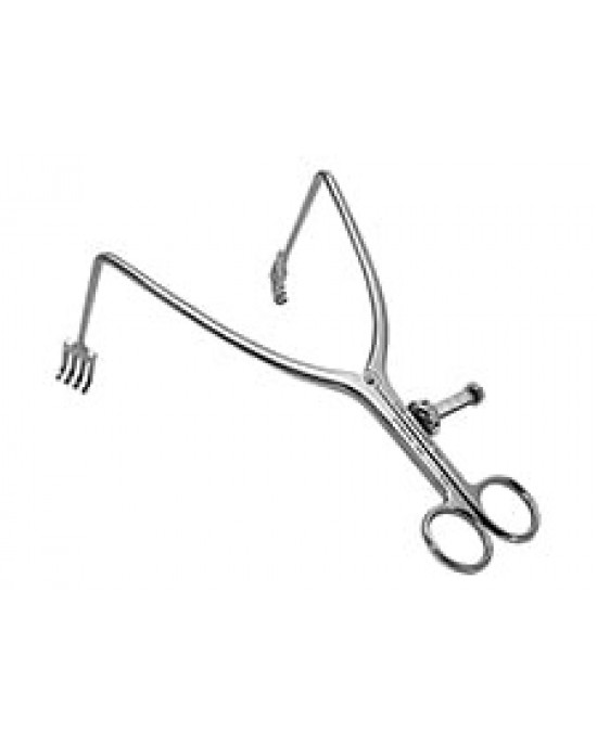 Zelpi with Cerebellar Tips 90˚