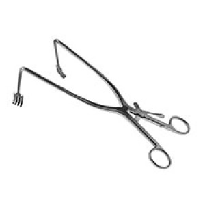 Zelpi with Cerebellar Tips 45˚