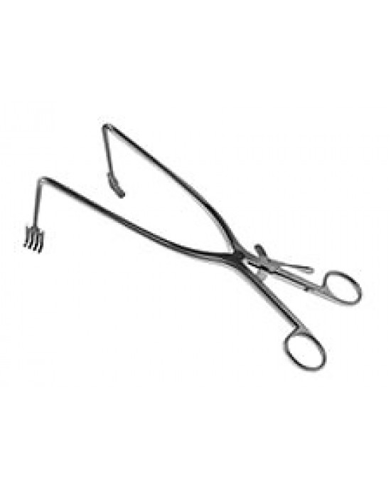 Zelpi with Cerebellar Tips 45˚